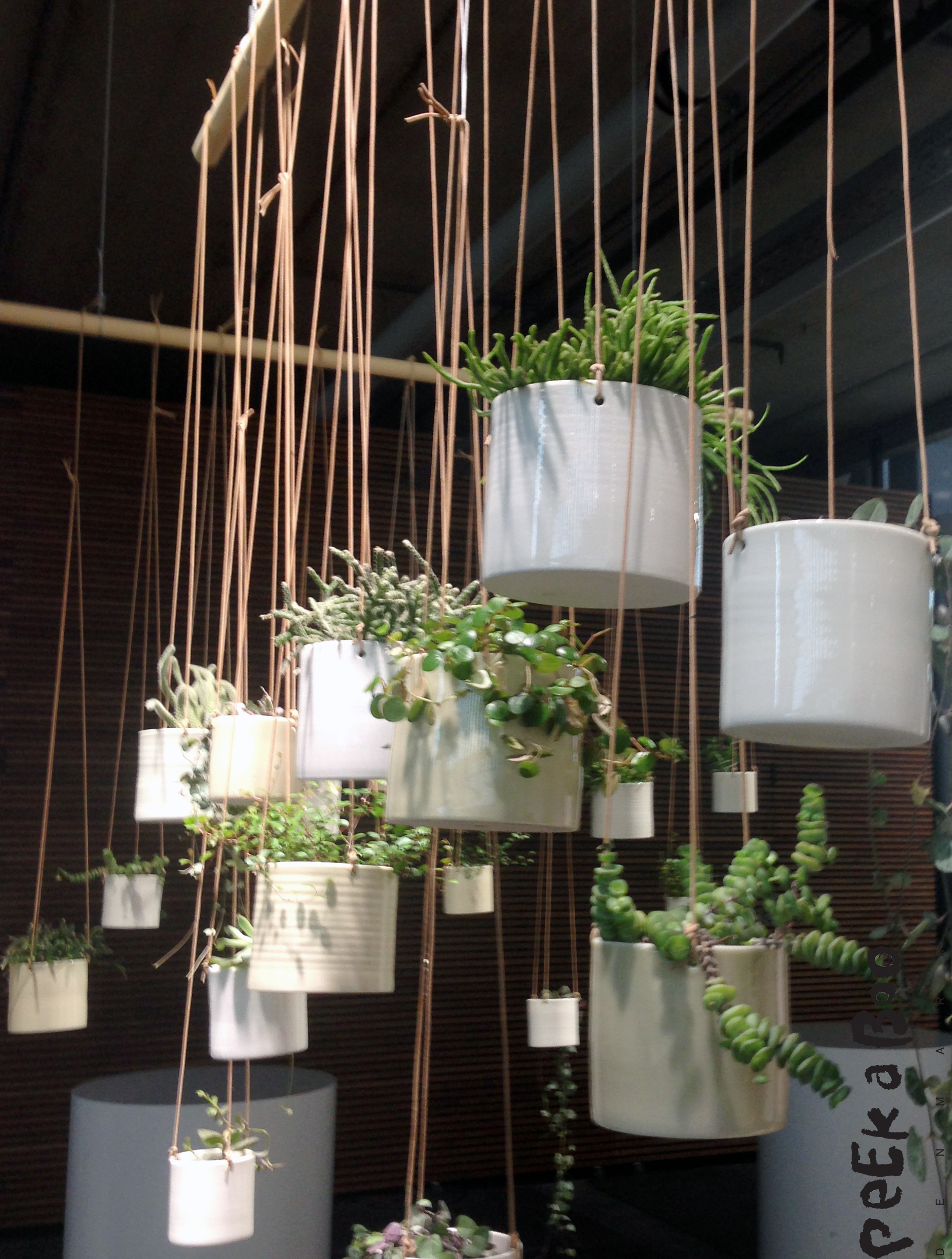 Anne Black's hanging pots. The design is simple and clean. Seen at North Modern.