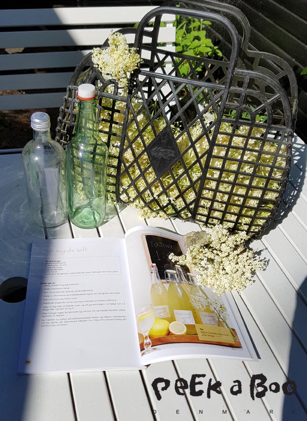 Recipes in my Summer DIY book for different ways to use elderflowers in juice, salad, cakes or drinks.