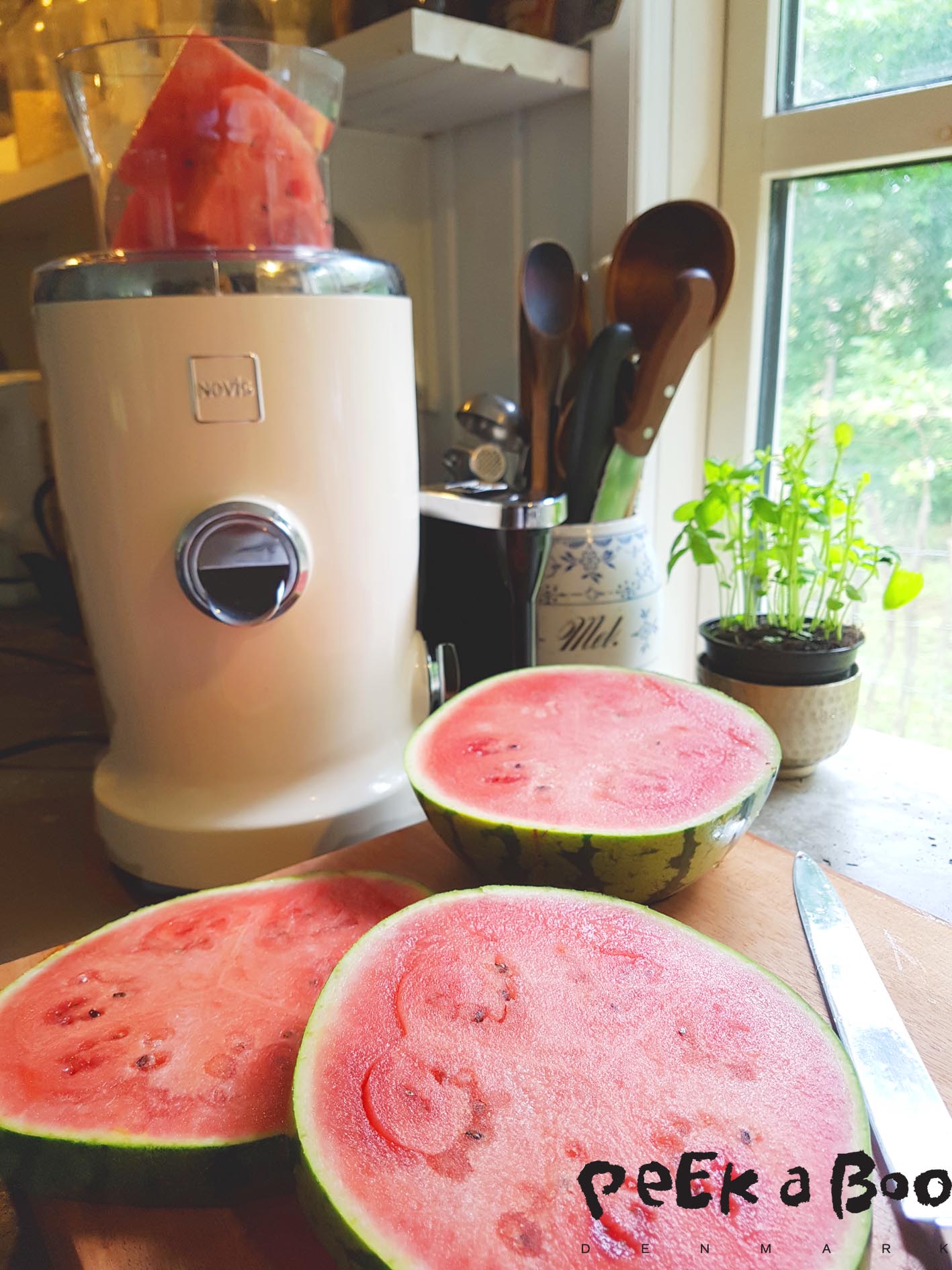 Watermelon juice made on the Novis Vita Juicer.